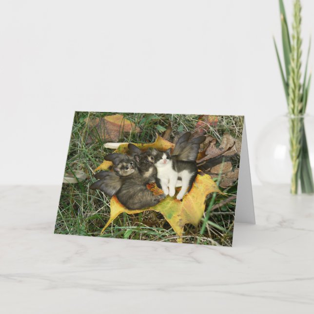 Kort för kattungeälvorhälsning (Framsida)