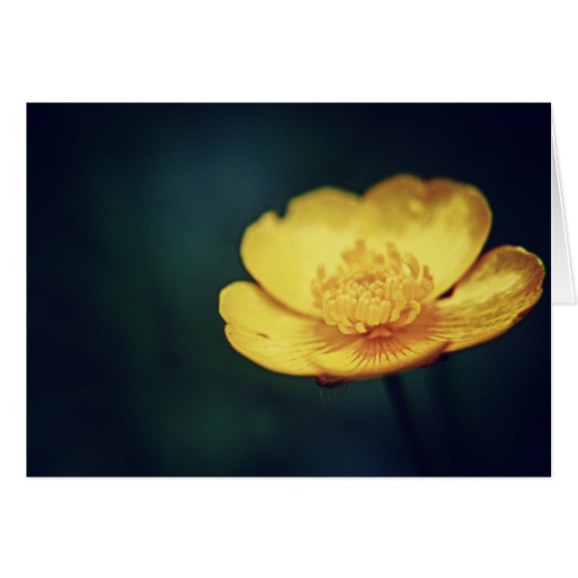 Kort för knapp (Framsidan Horizontal)