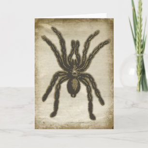 Kort för krepy Spider-hälsning