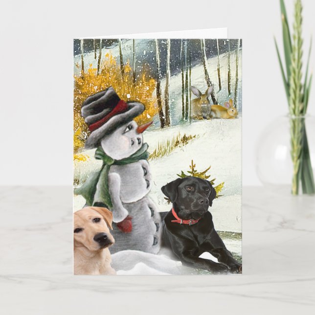 Kort för labb för julsnöplatsw (Framsida)