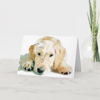 Kort för Labradoodle valphälsning