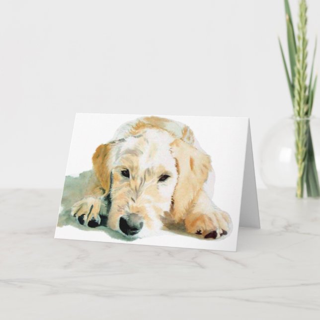 Kort för Labradoodle valphälsning (Framsida)