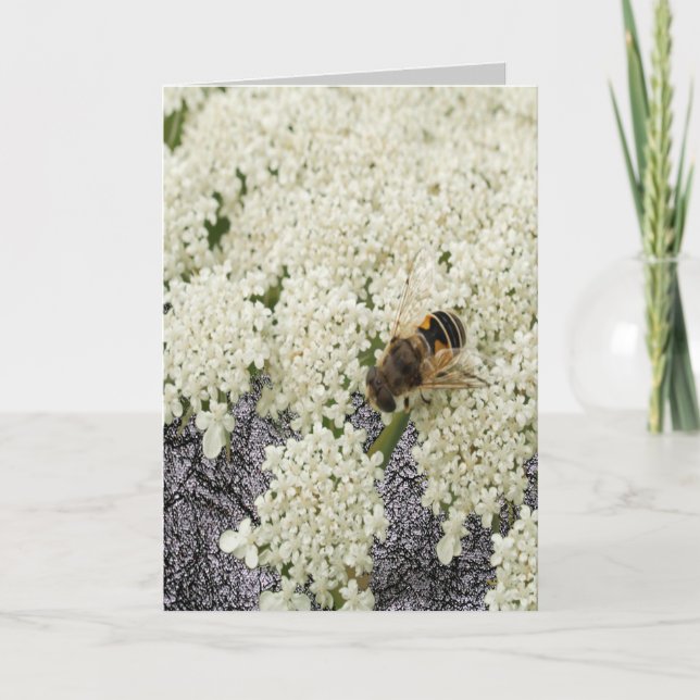 Kort för läder för svart för (Framsida)