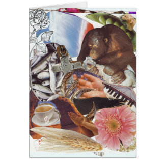 Kort för läka och glädjeSoulväg