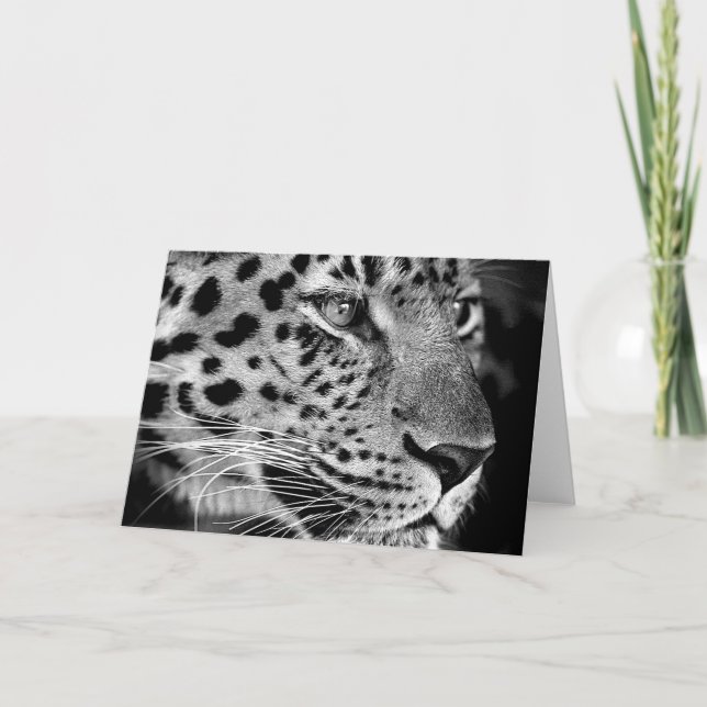 Kort för Leopard #1-Greeting (Framsida)