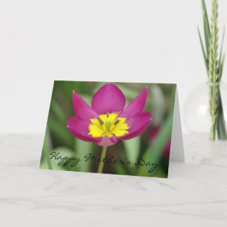 Kort för lila- och gultblommamors dag