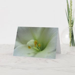 Kort för lilja 1