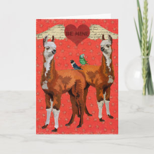 Kort för LLAMAS- & FJÄDERhjärtavalentin