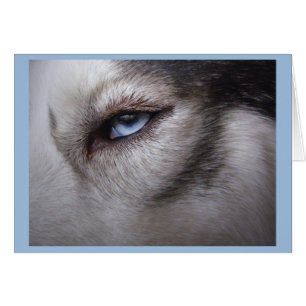 Kort för Malamute för siberian huskykort alaskabo