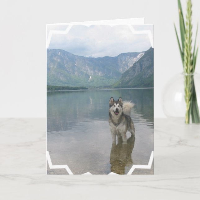 Kort för Malamutehundhälsning (Framsida)