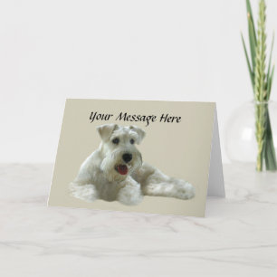Kort för miniatyrSchnauzerhälsning
