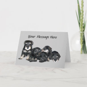 Kort för miniatyrSchnauzerhälsning