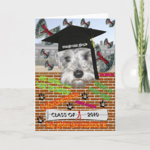 Kort för miniatyrSchnauzerstudenten