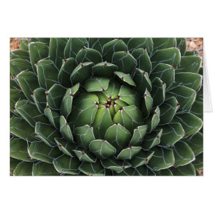 Kort för mjuk agave-hälsning