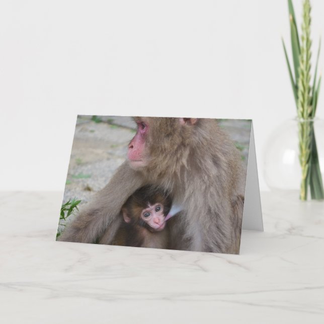 Kort för mor- och babyapamors dag (Framsida)