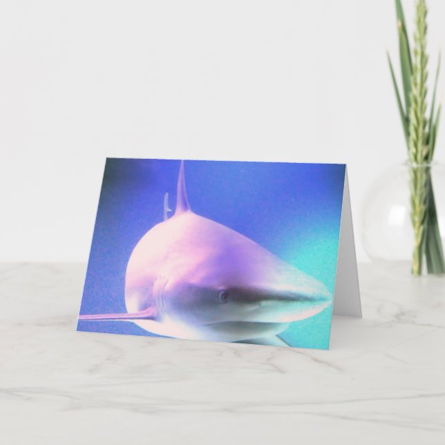 Kort för mördarehajhälsning (Framsida)