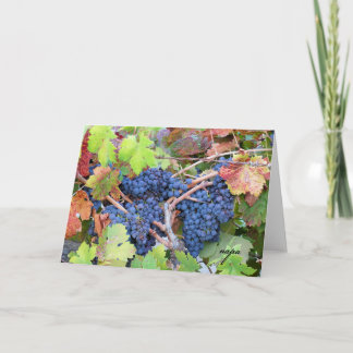 Kort för Napa Valley skördhälsning