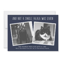 Kort för Naughty Pet Owners