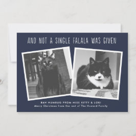 Kort för Naughty Pet Owners