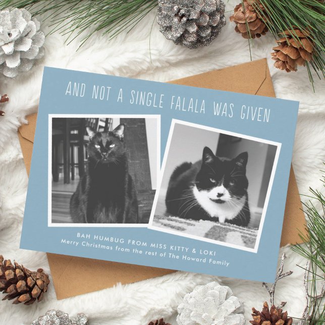 Kort för Naughty Pet Owners (funny cat owner christmas cards)