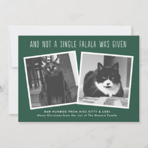 Kort för Naughty Pet Owners