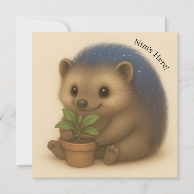 Kort för Nim Gardens Anpassade Comfort Series (Framsida)