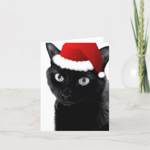 Kort för nolla-julgrankatt