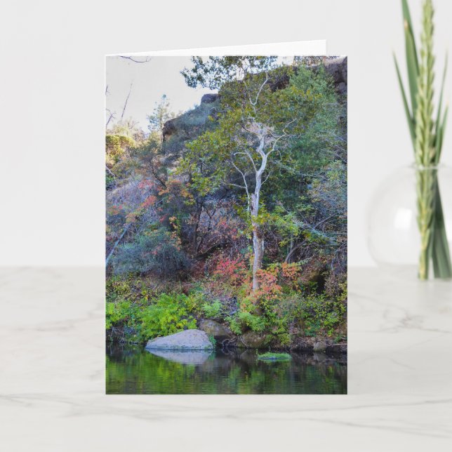 Kort för NorCal naturhälsning: Upperen parkerar (Framsida)