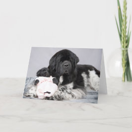 Kort för Notta björnvälkomnande