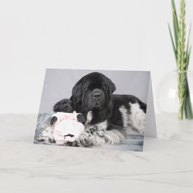 Kort för Notta björnvälkomnande (Framsida)