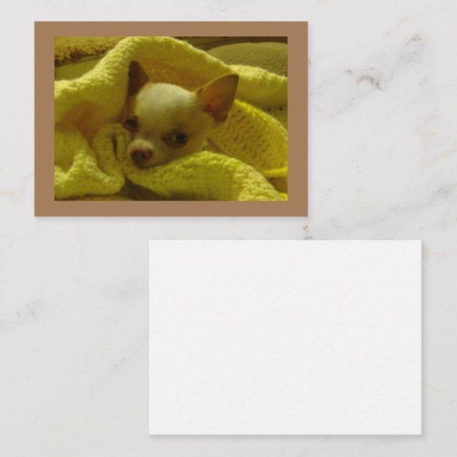 Kort för nyglaserad Chihuahua-platta anteckningar (Fram/baksida)