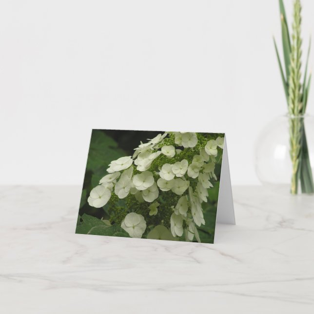Kort för Oakleaf vanlig hortensia (vanlig (Framsida)
