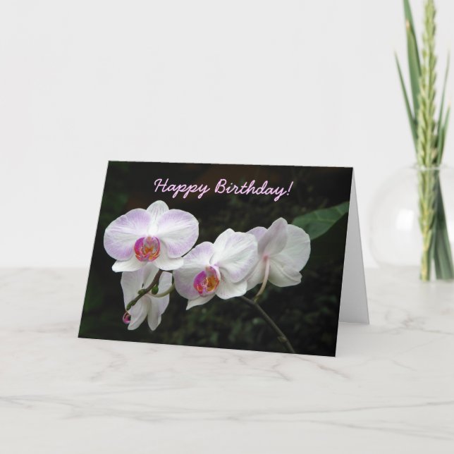 Kort för Orchidfödelsedaghälsning (Framsida)