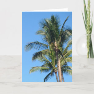 Kort för *PalmTree* tomt hälsning