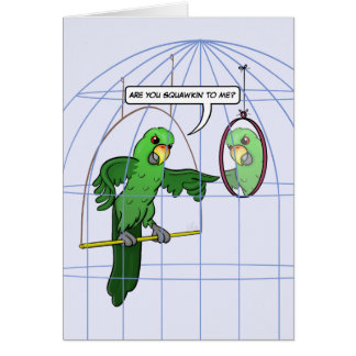 Kort för papegojaburslagsmål