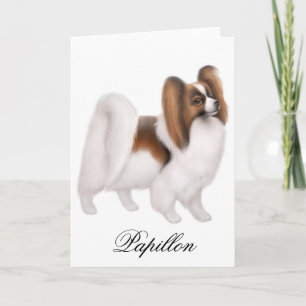 Kort för Papillon hundhälsning