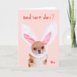 Kort för påsk för Chihuahua för dåligaHaredag