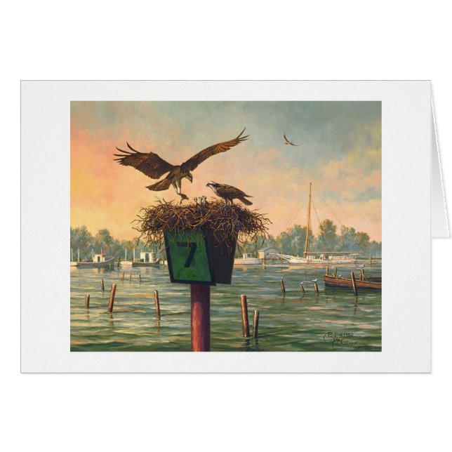 Kort för Paul McGehee "söndagmorgon" (Framsidan Horizontal)