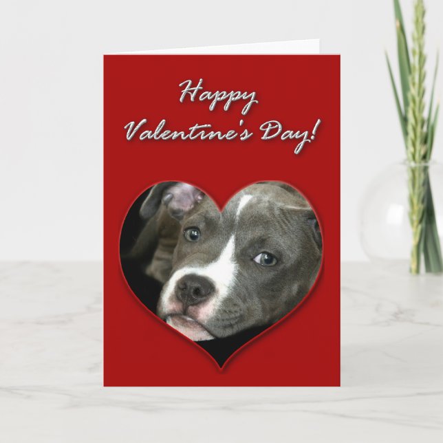 Kort för Pitbull valpvalentines day (Framsida)