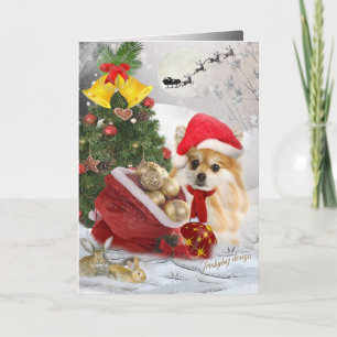 Kort för Pomeranian julsnöplats