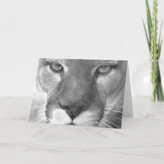 Kort för puma #1-Greeting