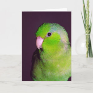 Kort för push-anteckning