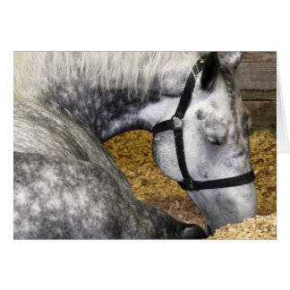 Kort för Puyallup mässahäst 5x7