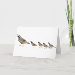 Kort för Quailfamiljhälsning
