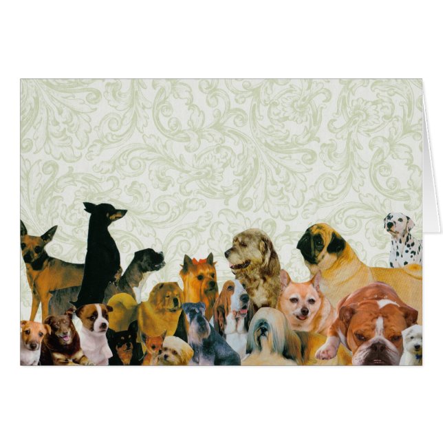 Kort för raddahundCollage (Framsidan Horizontal)