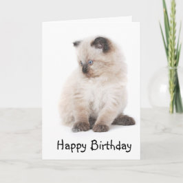 Kort för Ragdoll kattungefödelsedag