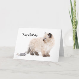 Kort för Ragdoll kattungefödelsedag