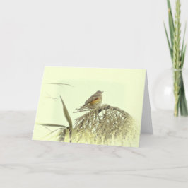 KORT FÖR REDWING GREETING CARD