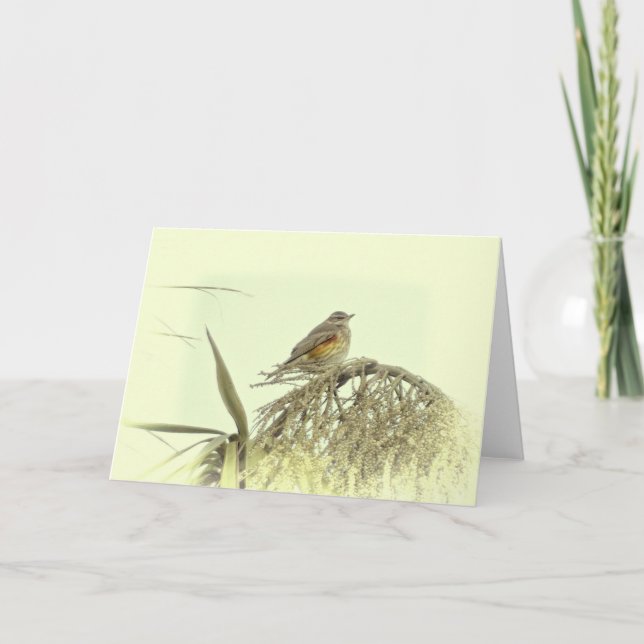 KORT FÖR REDWING GREETING CARD (Framsida)