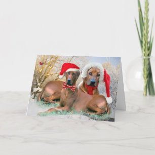 Kort för Rhodesian Ridgeback julplats